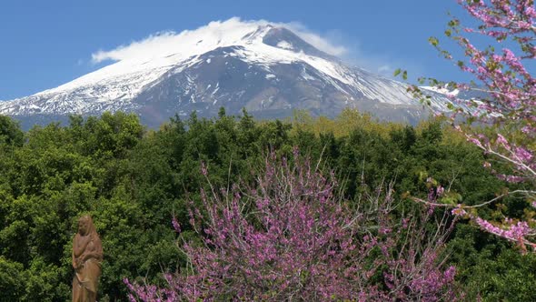Sicily, Italy. Blooming Spring Trees in the Park Giardino Bellini in Catania and Snowy Mount Etna on