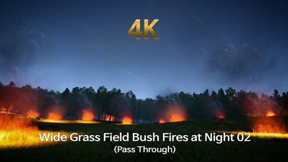 Wide Grass Field Bush Fires at Night 02 (Pass Through)