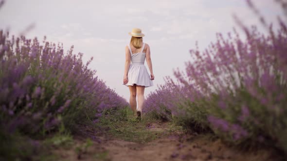 Girl Walking on a Lavender Field in a Straw Hat Between Bushes Legs Closeup