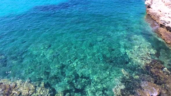 Rocky and Stony Seashore in Untouched Sea