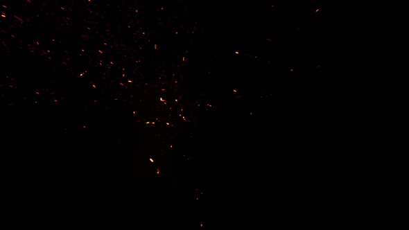 Spark Sprite Little alt