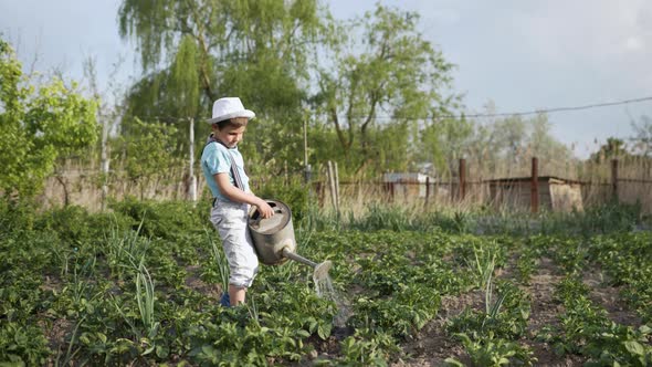 Portrait of Handsome Hardworking Male Child in Sun Hat with a Watering Can in His Hands Watering