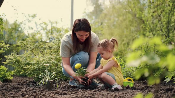 Mom and Daughter Plant a Flower Holding It with Their Hands Together