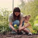 Mom and Daughter Plant a Flower Holding It with Their Hands Together - VideoHive Item for Sale