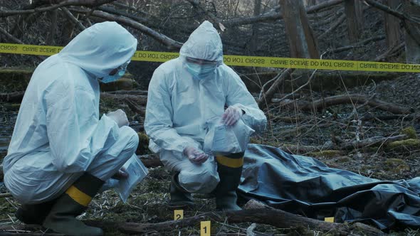 Forensic specialists working in the forest. Crime scene and police concept.