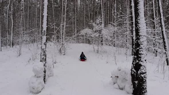 Boy in Winter Clothes Slides Down Snowcovered Hill on Sled in Winter Forest