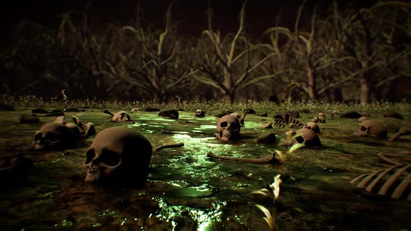 Human Bones On The Polluted Dead Forest Ground 4K 04