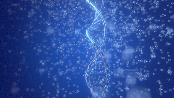 Rotating DNA Molecule with Genetic Infographics