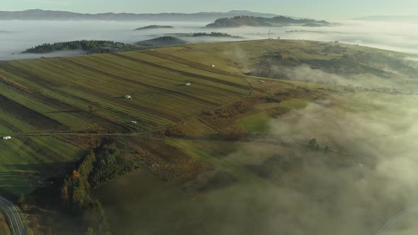 Fog over cultivated fields. Aerial backward tilt down