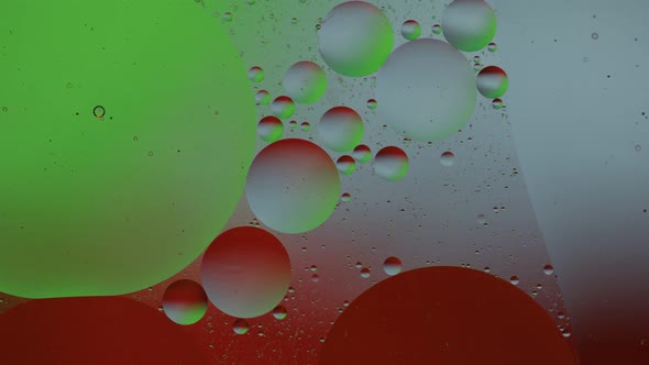 Macro Structure of Colorful Oil Bubbles. Chaotic Motion. Abstract Multicolored Background. Pattern