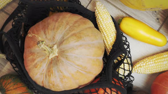 Colorful orange and yellow pumpkins, zucchini and corn in string shopping bag.