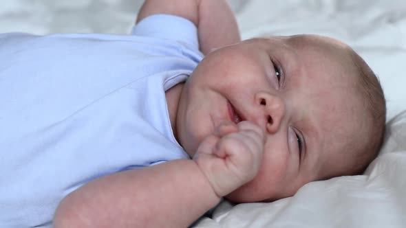 Newborn Baby Portrait