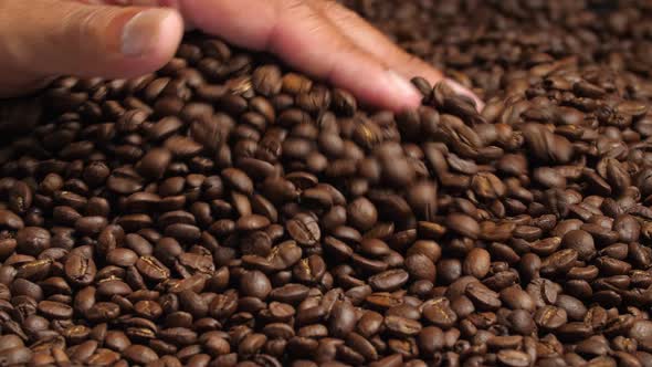 Close Up Hand Touching Coffee Beans