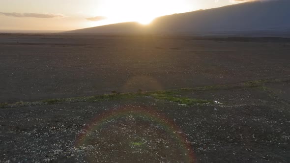 Polluted Field at Sunset