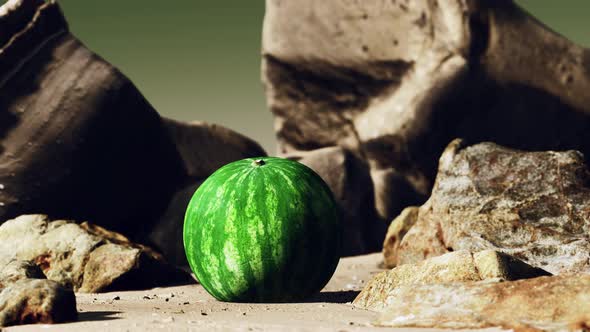 Fresh Watermelon on a Beautiful Sand Beach