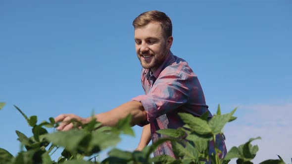 A Young Farmer Looks at a Soybean Sprout in His Field