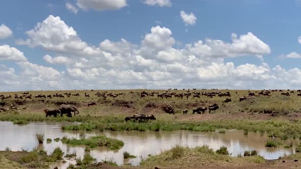 Photo Safari In Kenya Africa Time Lapse