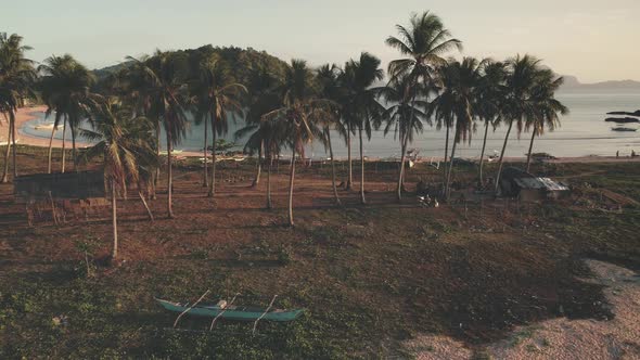 Traditional Boat at Green Grass Shore Aerial. Tourists Rest at Palm Trees. Sand Beach at Ocean Bay