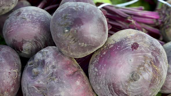 Fresh beet on display for sale at free fair. Panoramic plan