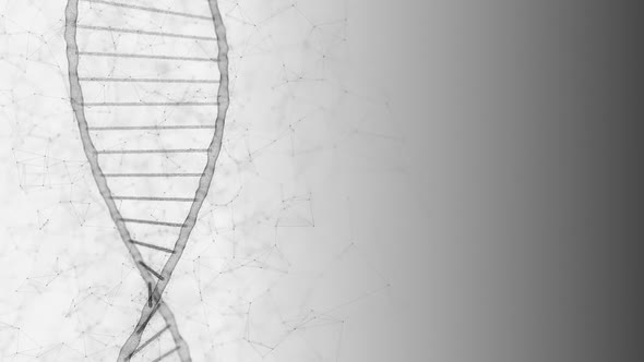 Dna Helix Genome Testing in Scientific Laboratory and Human Code Programming