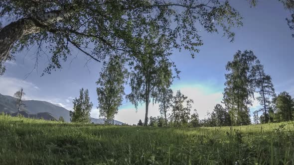 Mountain Meadow Time-lapse at the Summer or Autumn Time. Wild Nature and Rural Field. Motorised