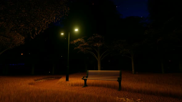 Park With Benche At Night In Autumn