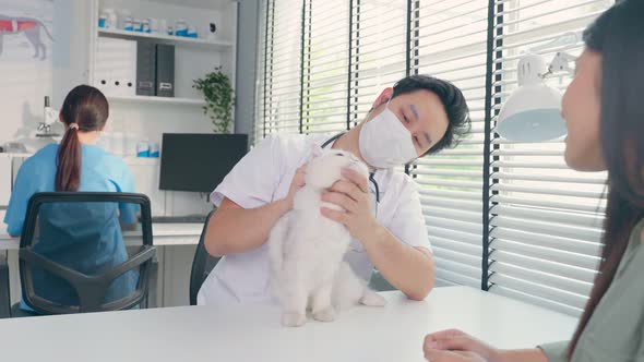 Asian veterinarian examine cat with owner during appointment in veterinary clinic in pet hospital.