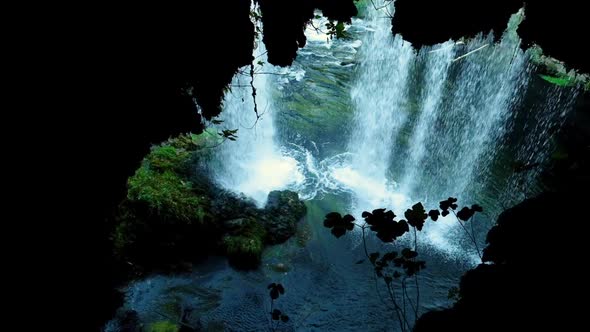 Waterfall in a Wild Forest