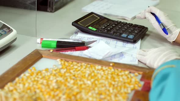 Laboratory Research of Corn Seeds