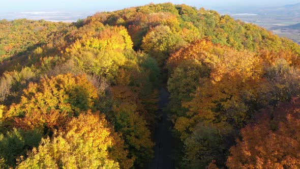 Car Hidden In Old Road In Autumn Forest