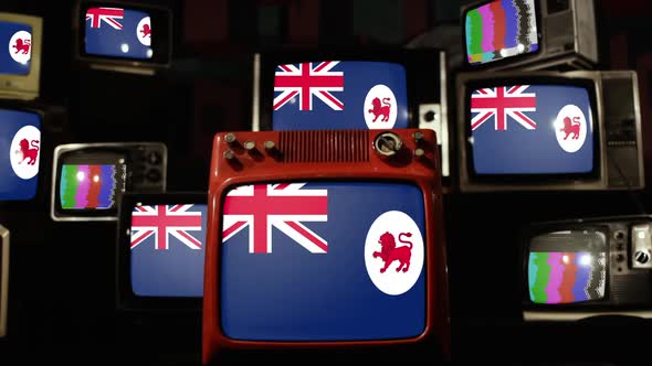 Flags of Tasmania, Australia, on Retro TVs.