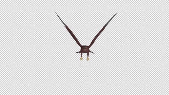 Tropical Kite - Flying Loop - Front View alt