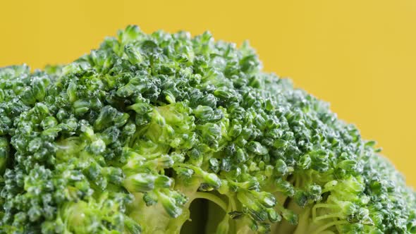 Broccoli on Yellow Background Fresh Green Broccoli Closeup Vitamins Raw Food and Vegetarian