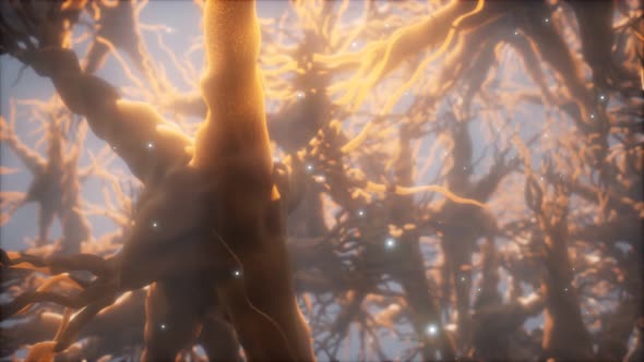 Journey Through a Neuron Cell Network Inside the Brain alt