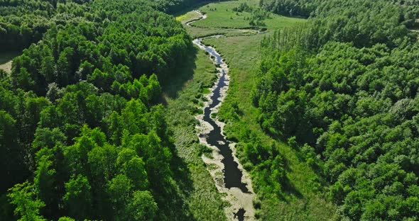 Green forest and river in summer, aerial view of nature