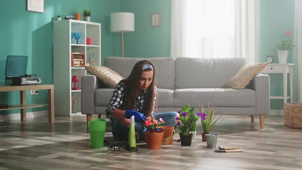 Woman Is Taking Care of Houseplants