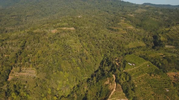 Mountain Landscape Farmlands Bali Indonesia