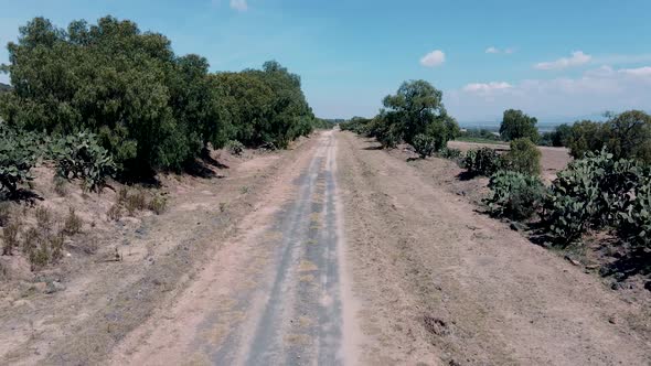 View of a dirt road in the middle of mexican desert
