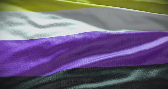 Non Binary waving flag loop 4K