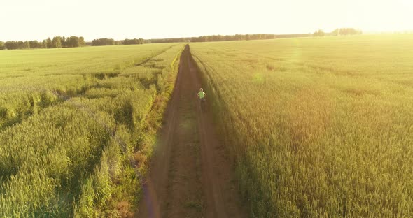 Aerial View on Young Boy, That Rides a Bicycle Thru a Wheat Grass Field on the Old Rural Road