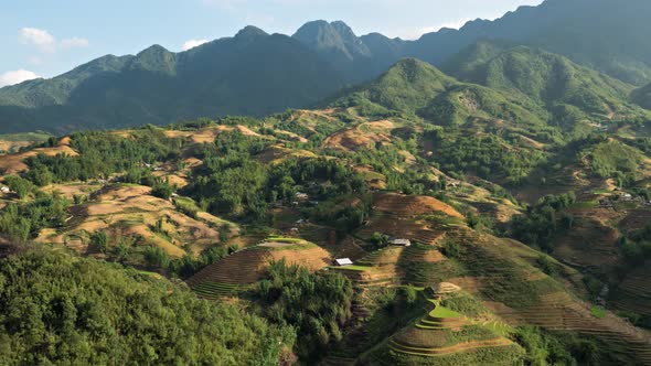 Time Lapse Terraced Rice Paddies In Northern Vietnam