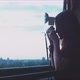 Woman photographer taking a picture of a skyline - VideoHive Item for Sale