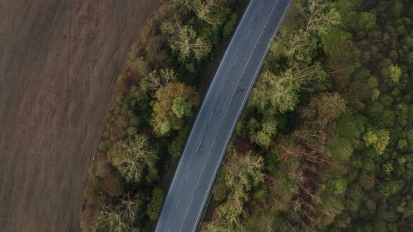 Drone flight over colorful autumn forest with road and cars