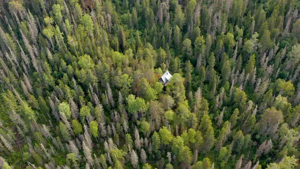 The abandoned hut in the wild forest  The hidden hut in the woods The wild Krasnoyarsk Pillars