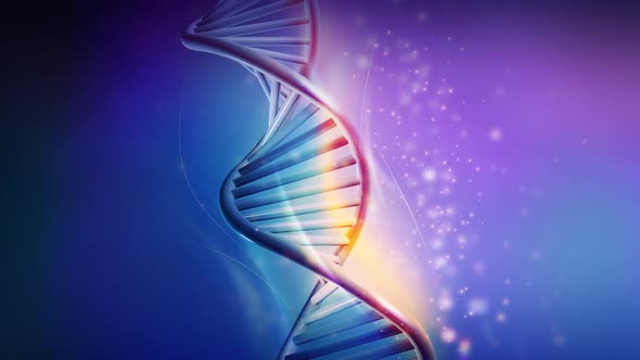 The DNA Strand Spins Against A Colored Background 4K