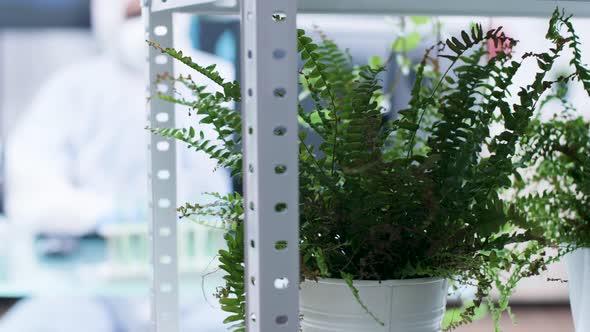 Selective Focus Shot of Researcher Test Plants