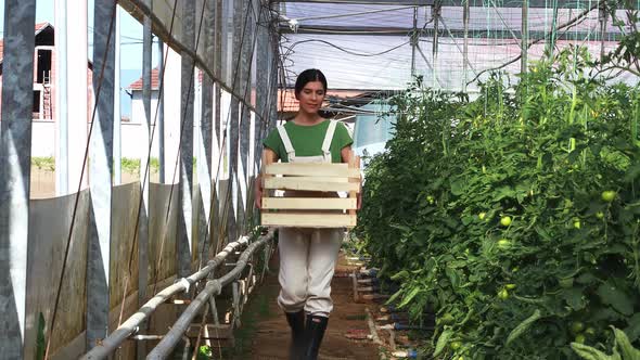 Young women working in their start up business.