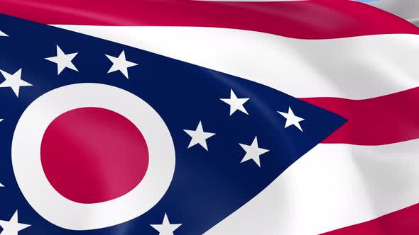 Ohio State Flag