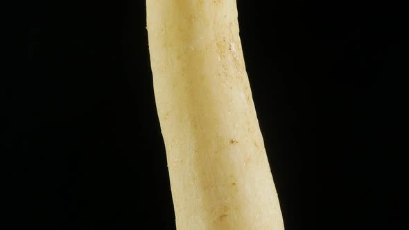 White daikon radish