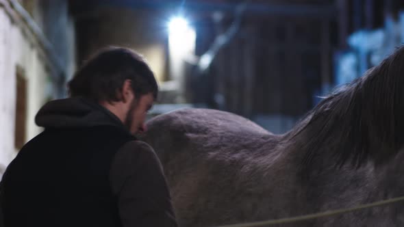 Closeup of a Man Combing a Horse